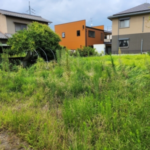 (外観)
